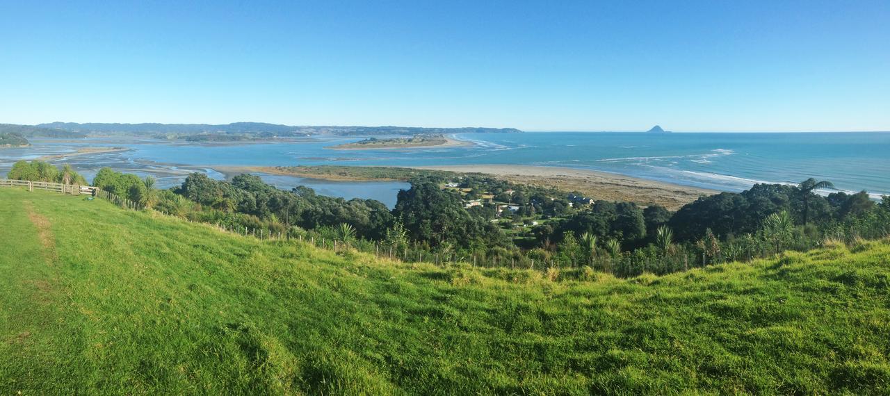Ohiwa Seascape Studios Opotiki Esterno foto