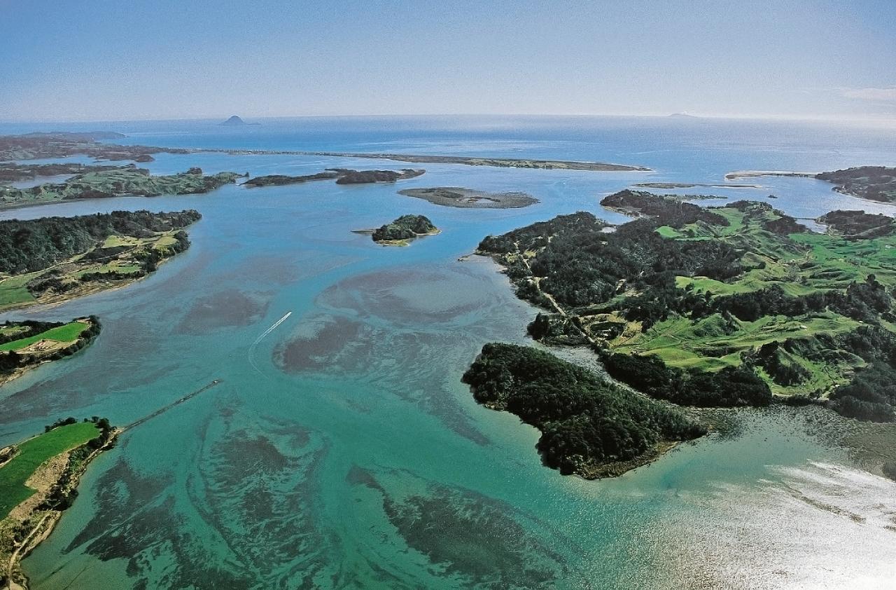 Ohiwa Seascape Studios Opotiki Esterno foto